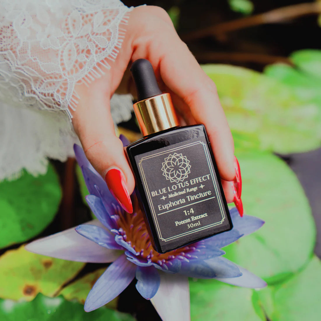 Blue Lotus ‘Euphoria’ Infused Essence 30ml